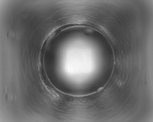 X0000062670532200512211337