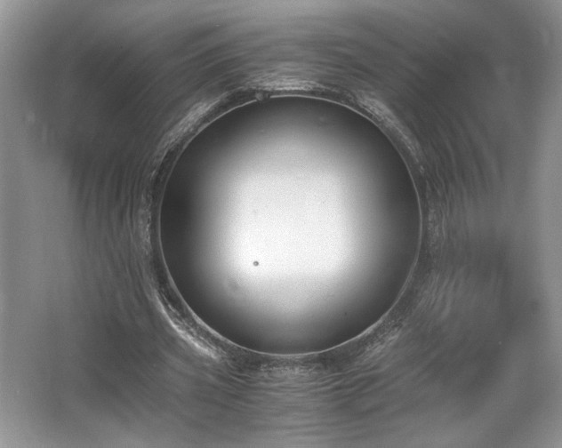 X0000062670533200512211337