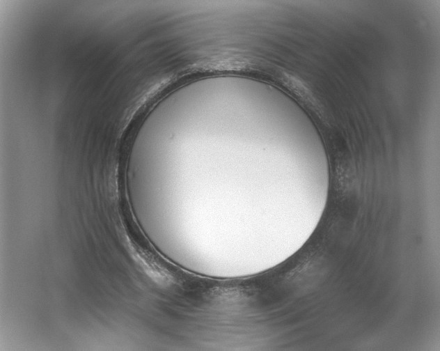 X0000062670534200512211337