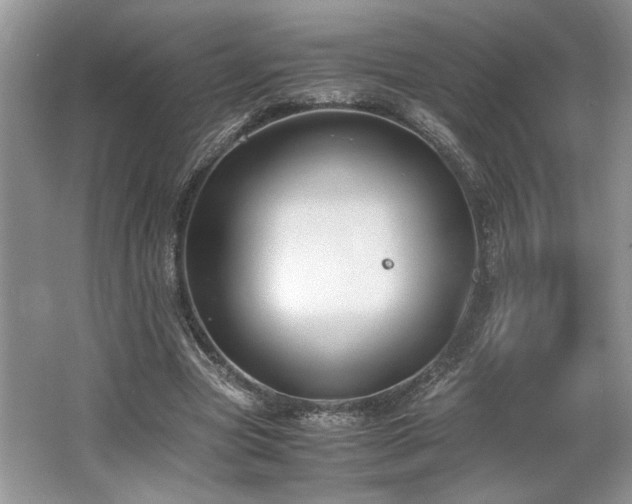 X0000062670537200512211338