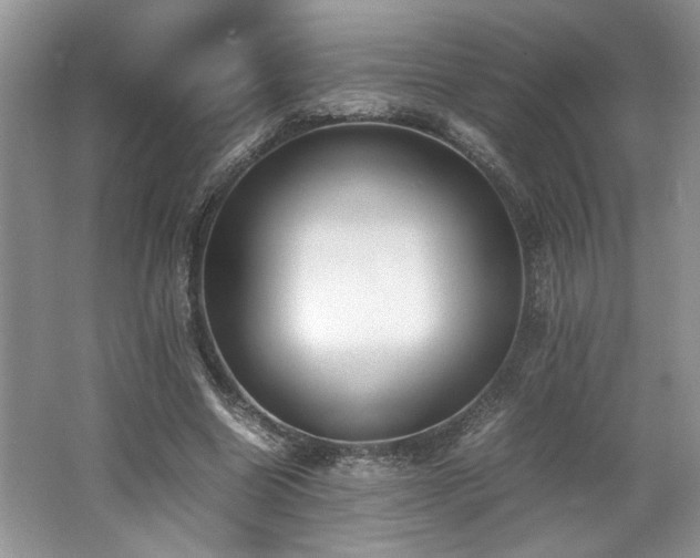 X0000062670538200512211338