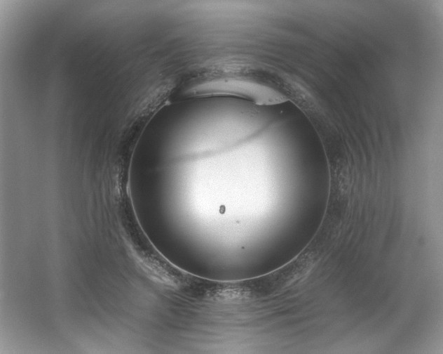 X0000062670546200512211338