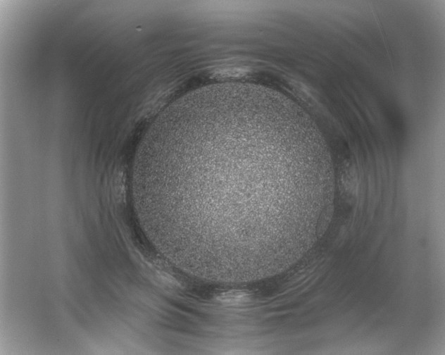 X0000062670551200512211338