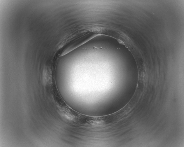 X0000062670552200512211338