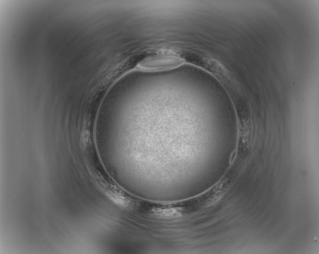 X0000062670553200512211338