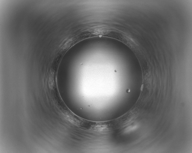 X0000062670554200512211338