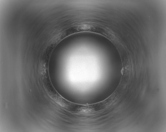 X0000062670555200512211338