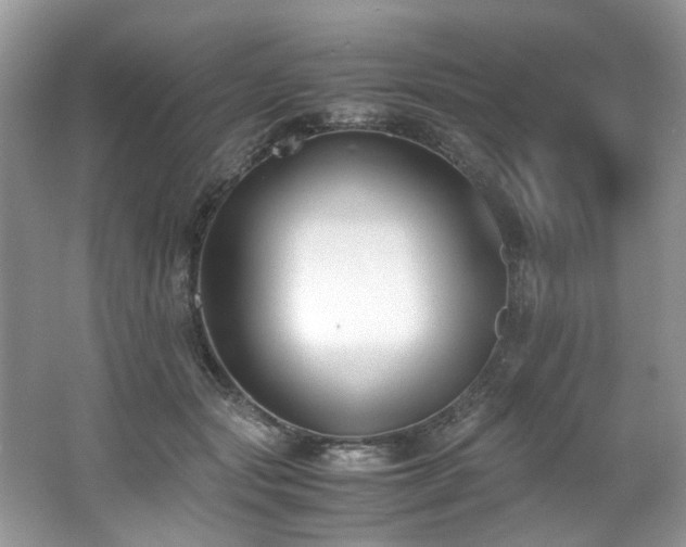 X0000062670557200512211338