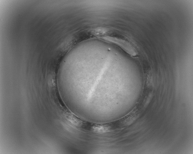 X0000062670561200512211338