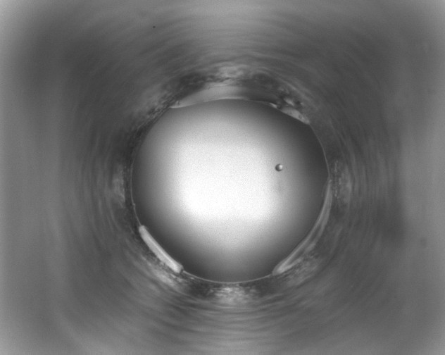 X0000062670562200512211338