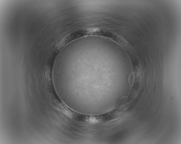 X0000062670565200512211338