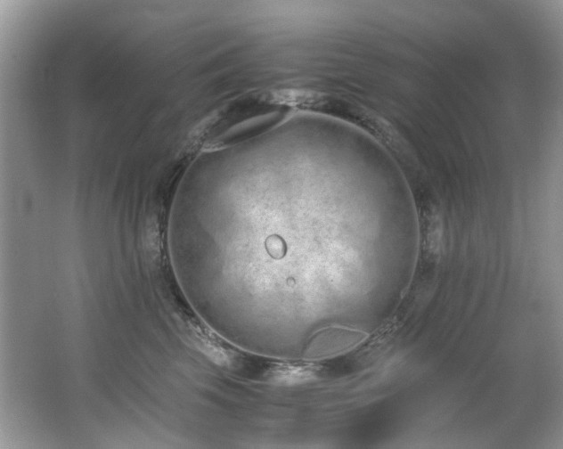 X0000062670569200512211338