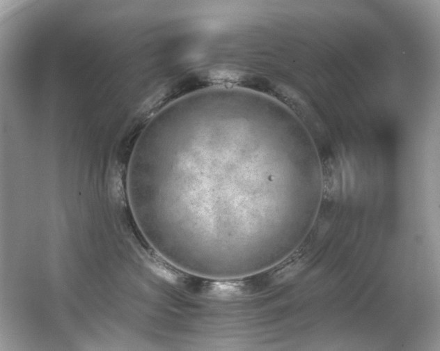 X0000062670573200512211338