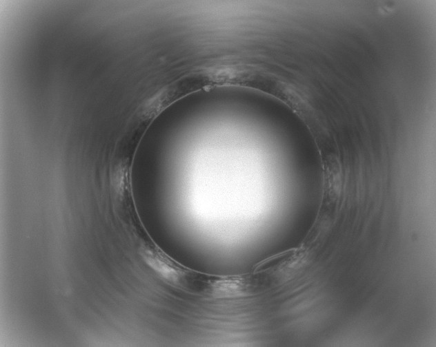 X0000062670574200512211338