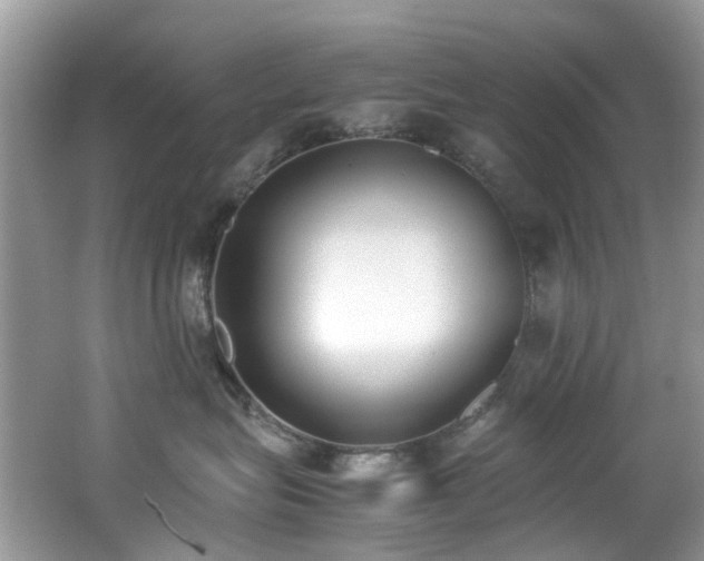 X0000062670575200512211338