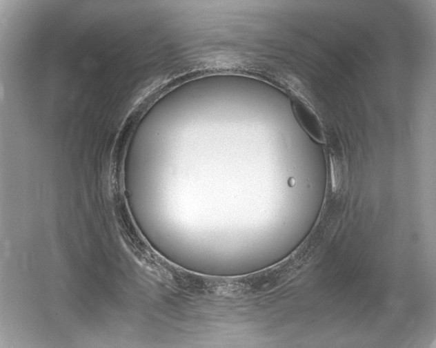 X0000062670579200512211337