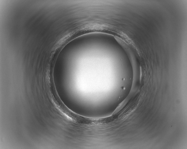 X0000062670581200512211337