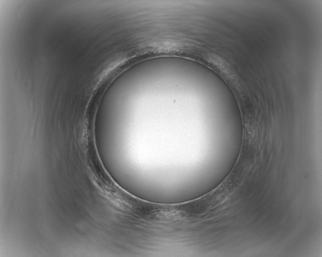 X0000062670583200512211337