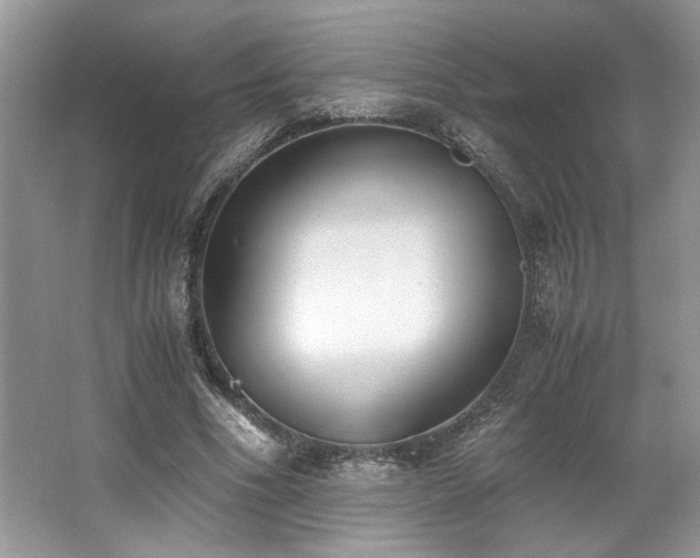 X0000062670586200512211337