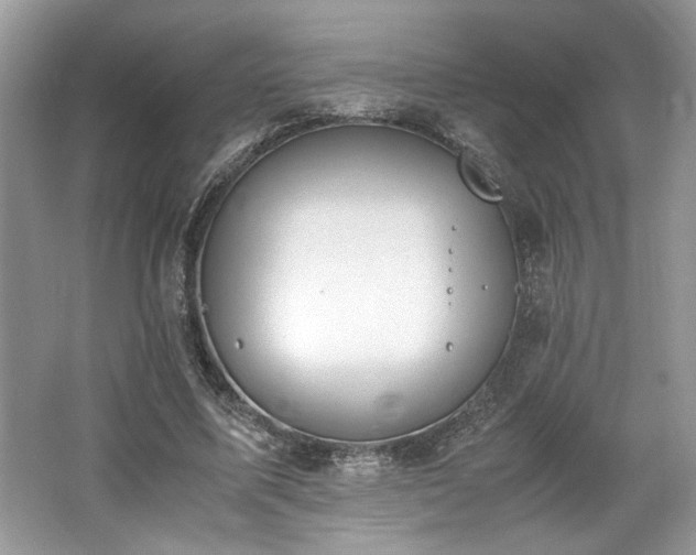 X0000062670587200512211337