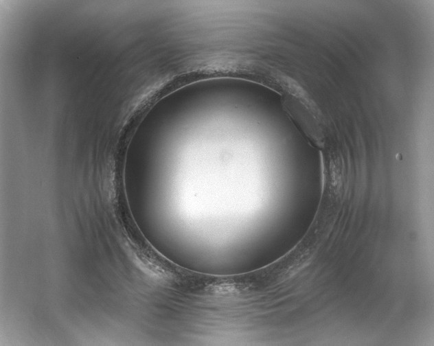 X0000062670588200512211337