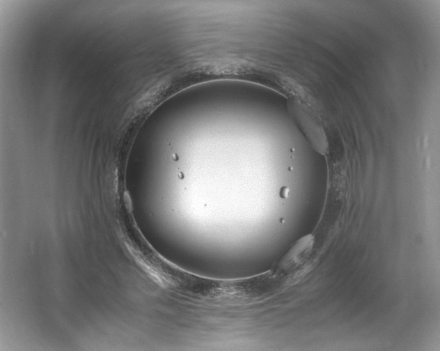 X0000062670589200512211337