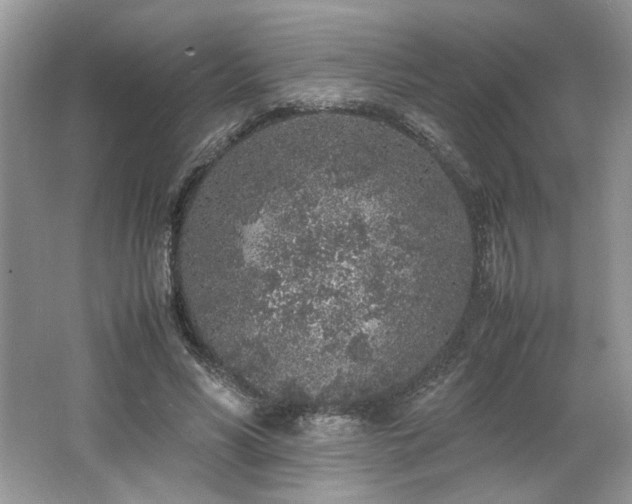 X0000062670590200512211337