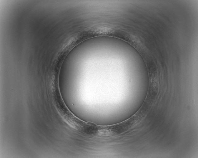 X0000062670591200512211337