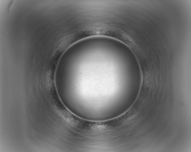 X0000062670594200512211337