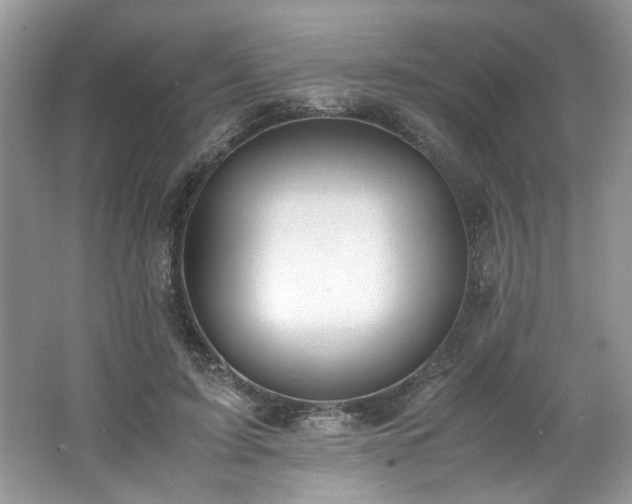 X0000062670595200512211337