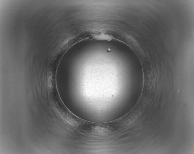 X0000062670596200512211337