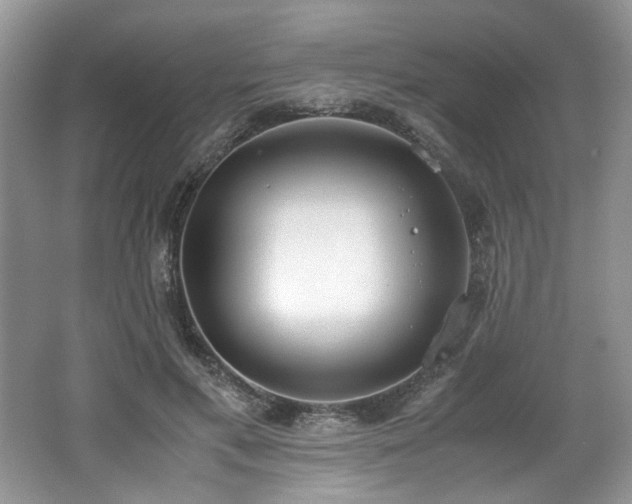 X0000062670597200512211337