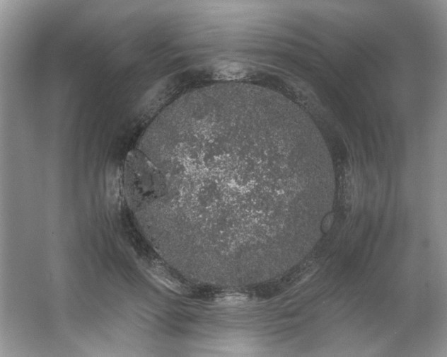 X0000062670598200512211337