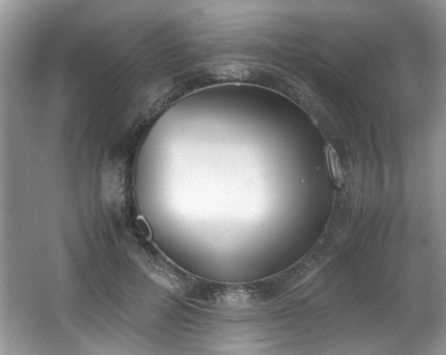 X0000062670600200512211337