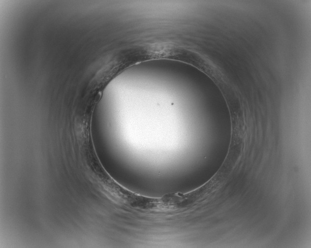 X0000062670601200512211337