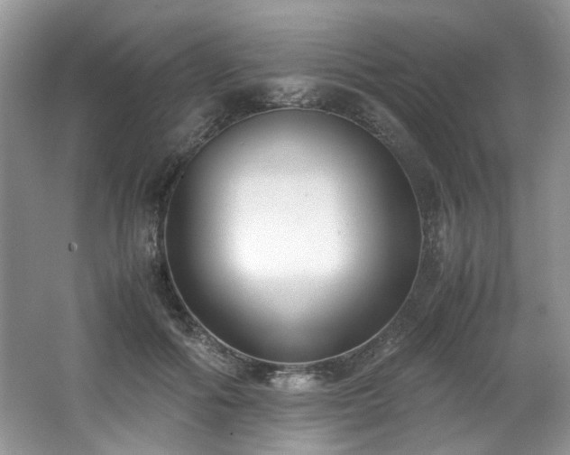 X0000062670602200512211337