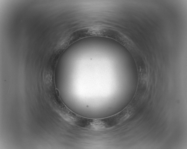 X0000062670603200512211337