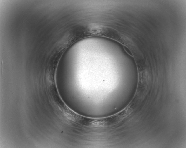 X0000062670606200512211337