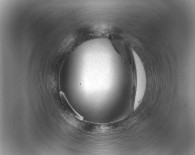 X0000062670607200512211337