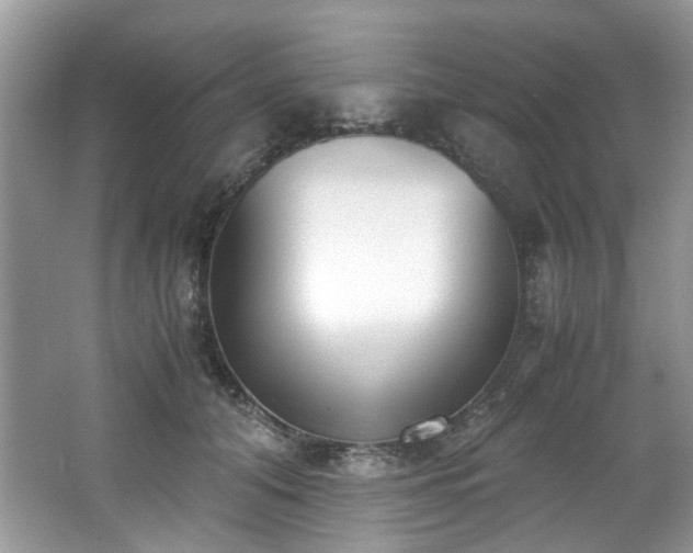 X0000062670608200512211337