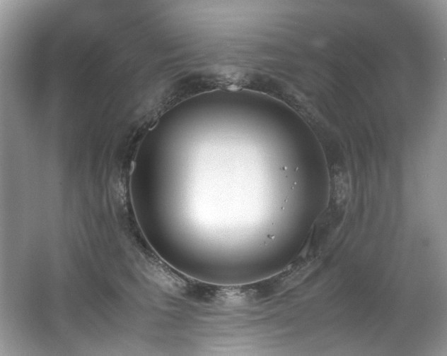 X0000062670613200512211337