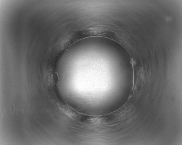 X0000062670615200512211337