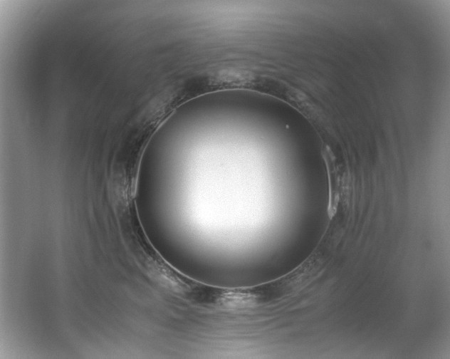 X0000062670617200512211337