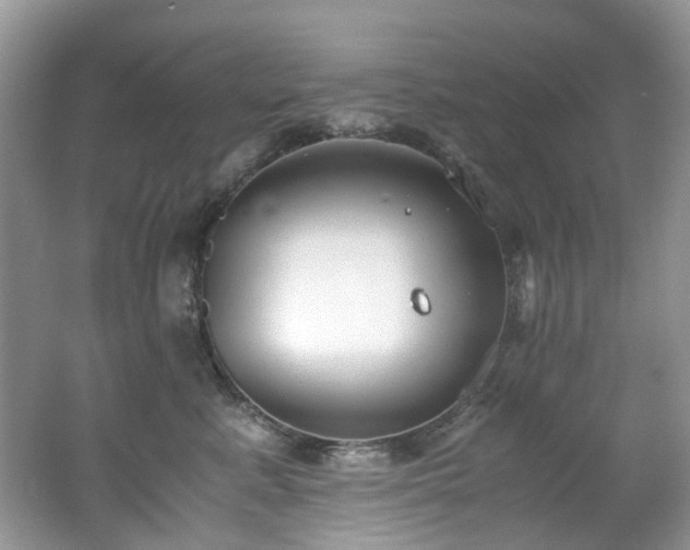 X0000062670619200512211337