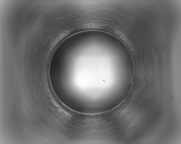 X0000062670625200512211336