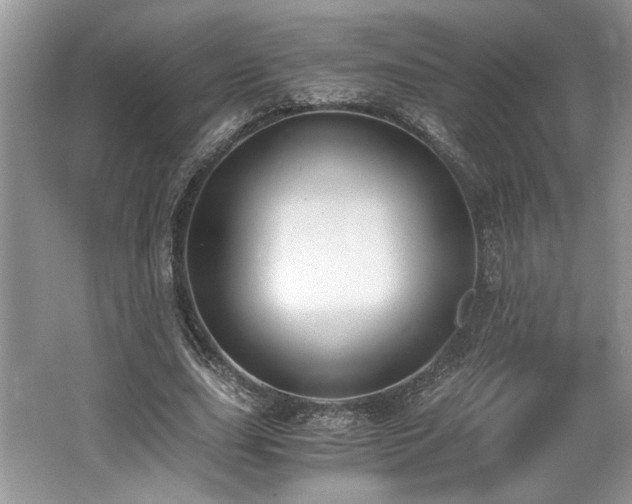 X0000062670631200512211336