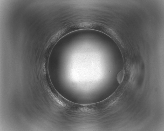 X0000062670633200512211336