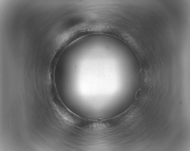 X0000062670636200512211336