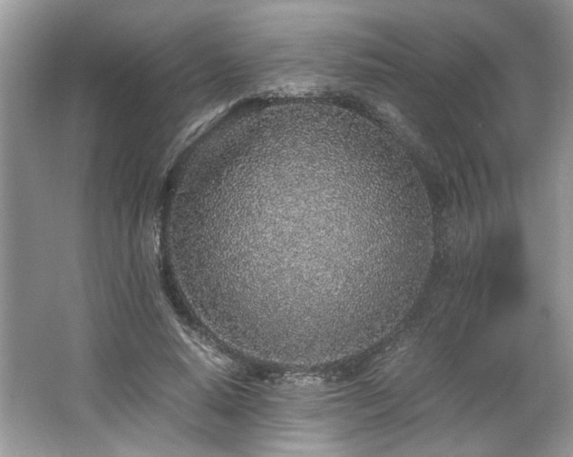 X0000062670640200512211336