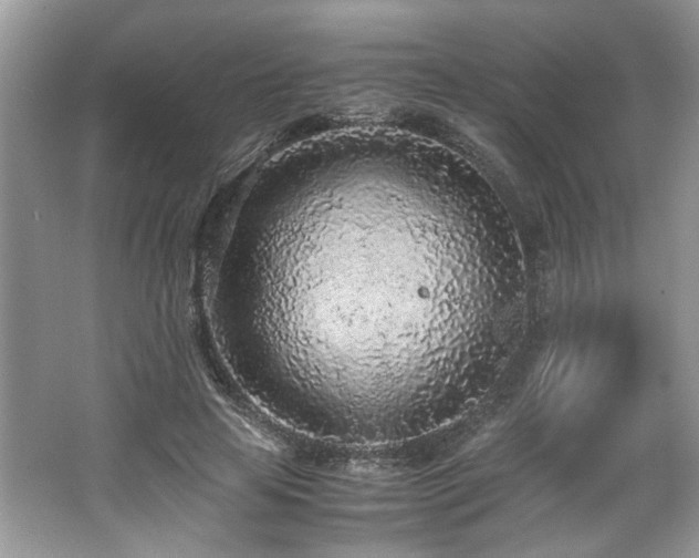 X0000062670641200512211336